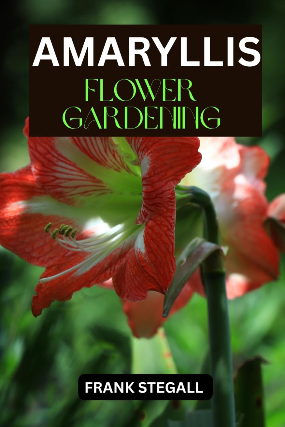 AMARYLLIS FLOWER GARDENING: STEP BY STEP BEGINNERS GUIDE TO GROWING, CARING AND HARVESTING baixar livro de graça