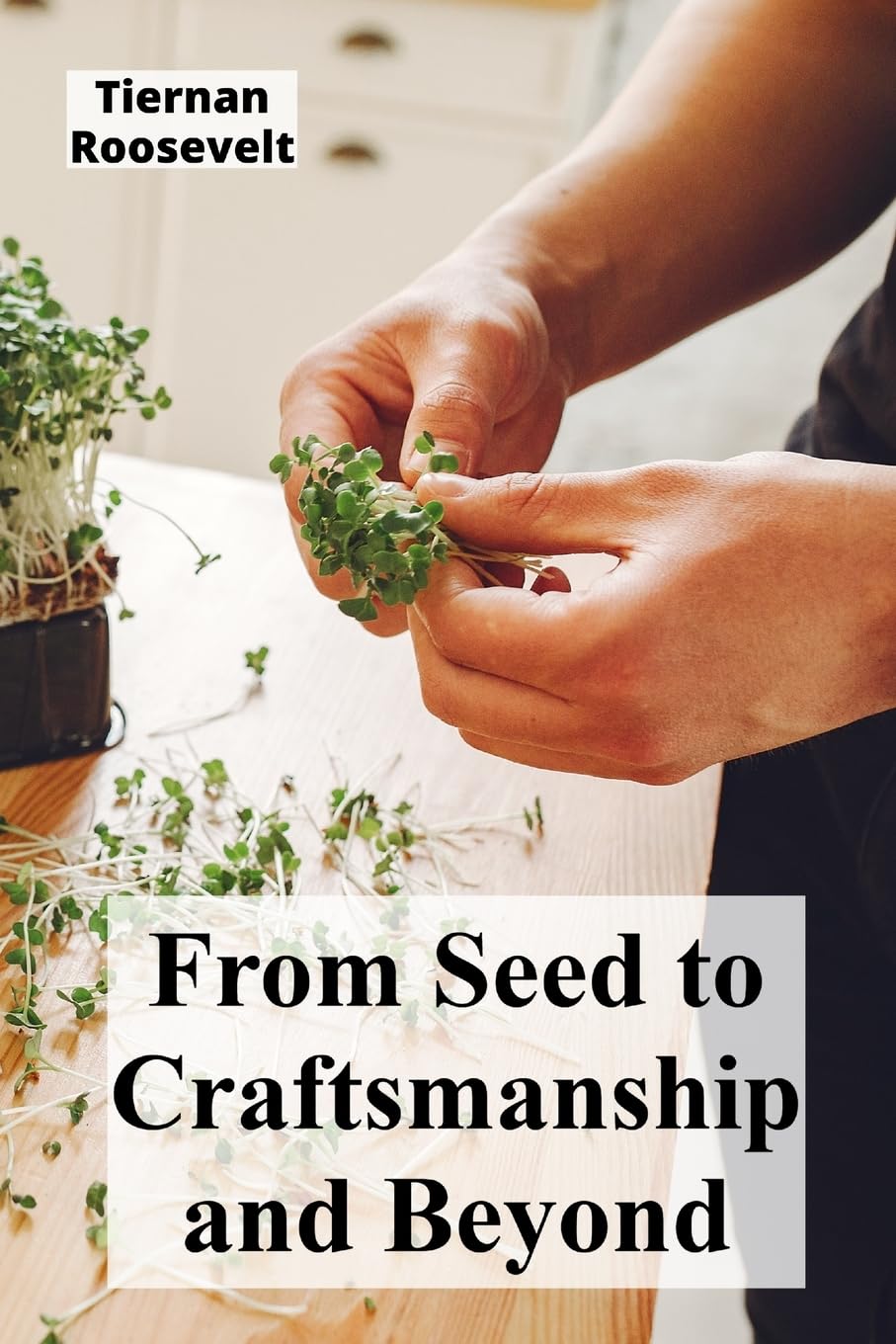 From Seed to Craftsmanship and Beyond: Intricate designs combining tradition and creativity, a stylish manual for advanced craftspeople and creative beginners alike. The Graceful Growth of Bamboo baixar livro de graça