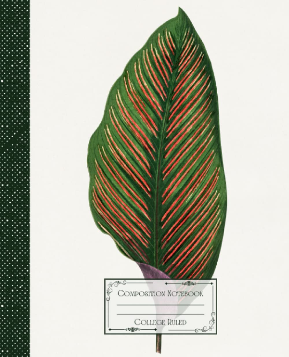 ler totalmente Vintage Tropical Leaf Composition Notebook College Ruled: Vintage Tropical Illustration | Classic Composition Notebook for Writing and Journaling |... for College Students, School and Work.