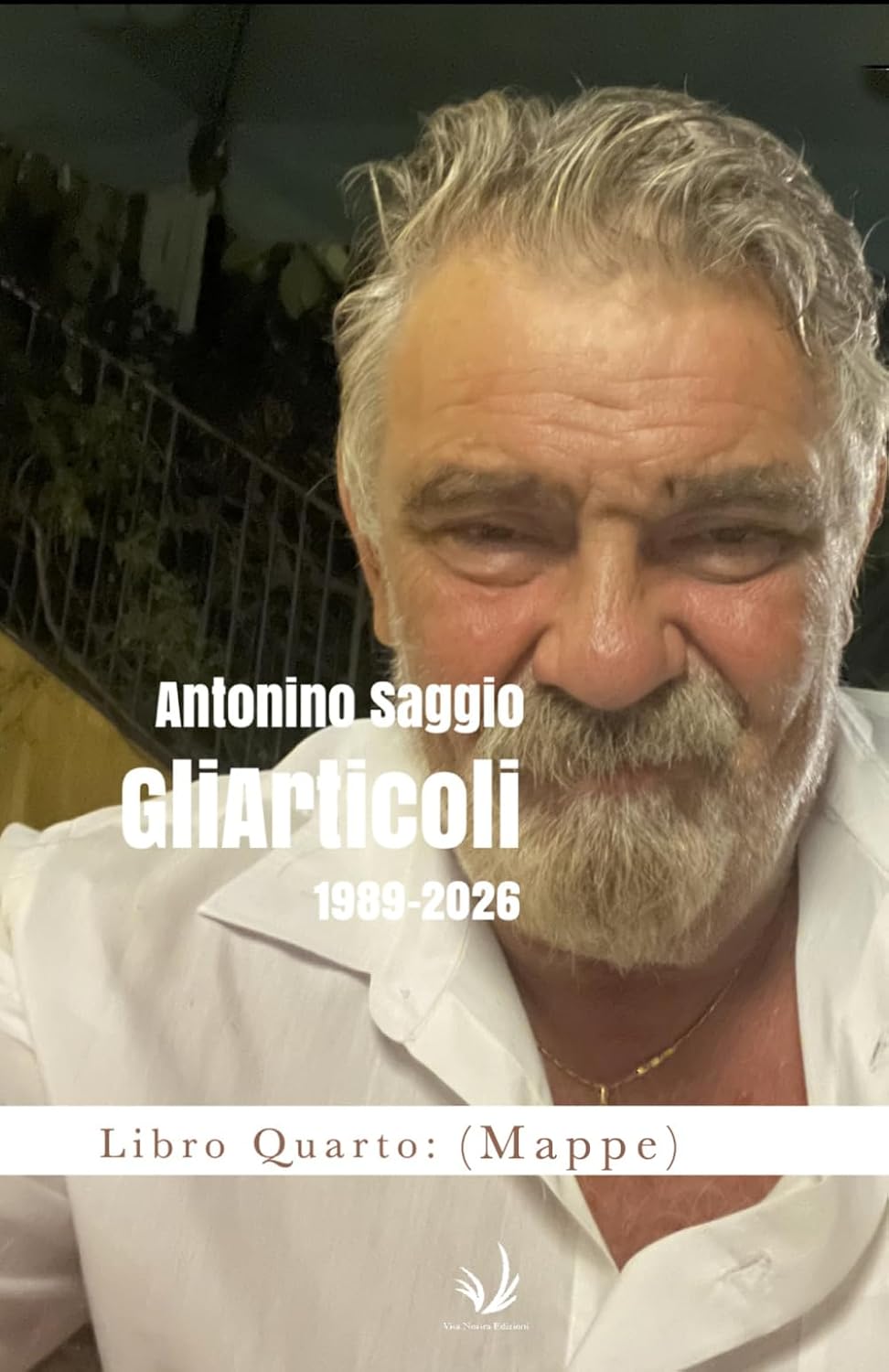 Gli articoli 1989-2026 Libro Quarto: (Mappe) (Italian Edition) baixar o livro de graça