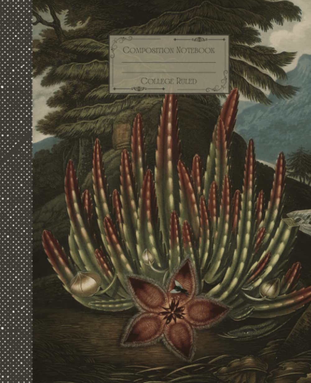 ler totalmente Vintage Flower Composition Notebook College Ruled: Antique Botanical Flower Illustration | Classic Composition Notebook for Writing and Journaling |... for College Students, School and Work.