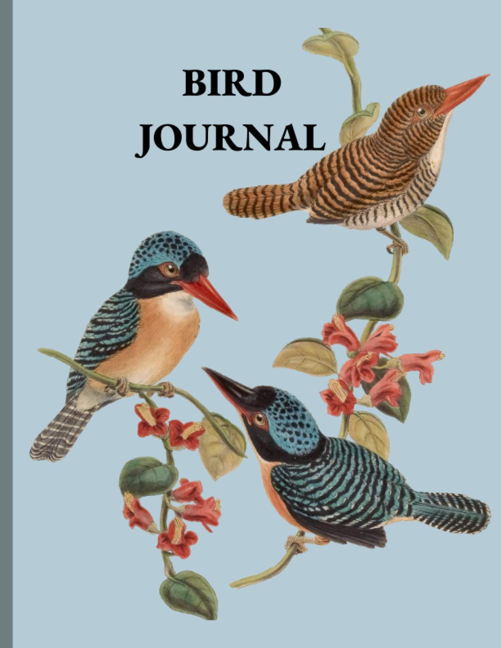 Bird Watching Journal: Simple and easy Logbook for birds, 123 pages, Ideal for elementary and middle school students and bird enthusiasts baixar livro de graça