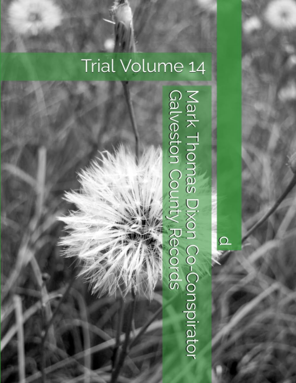 Mark Thomas Dixon Co-Conspirator Galveston County Records: Trial Volume 14 (Barbara Holder Trial Records) baixar livro de graça