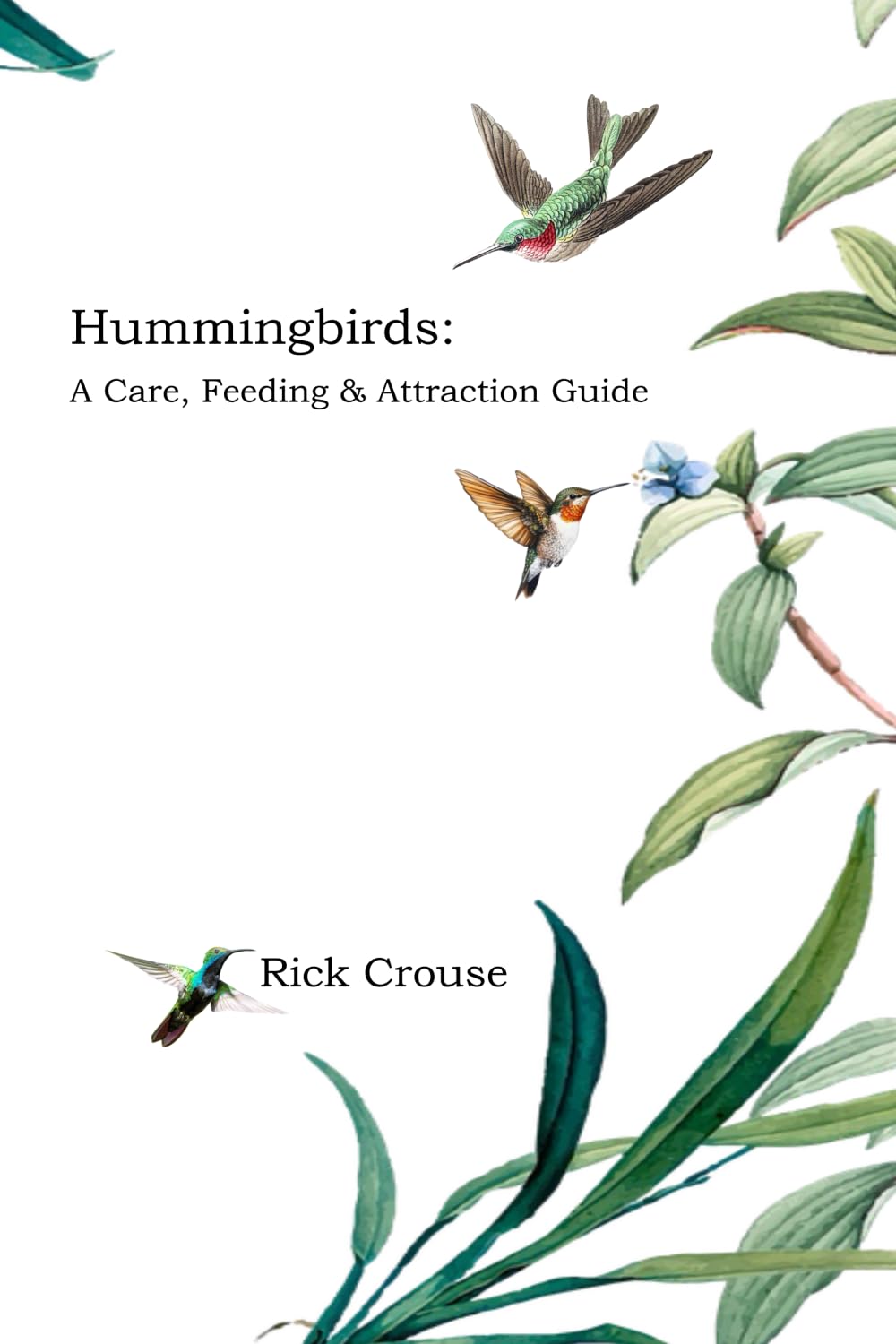 Hummingbirds:: A Care, Feeding and Attraction Guide baixar livro de graça