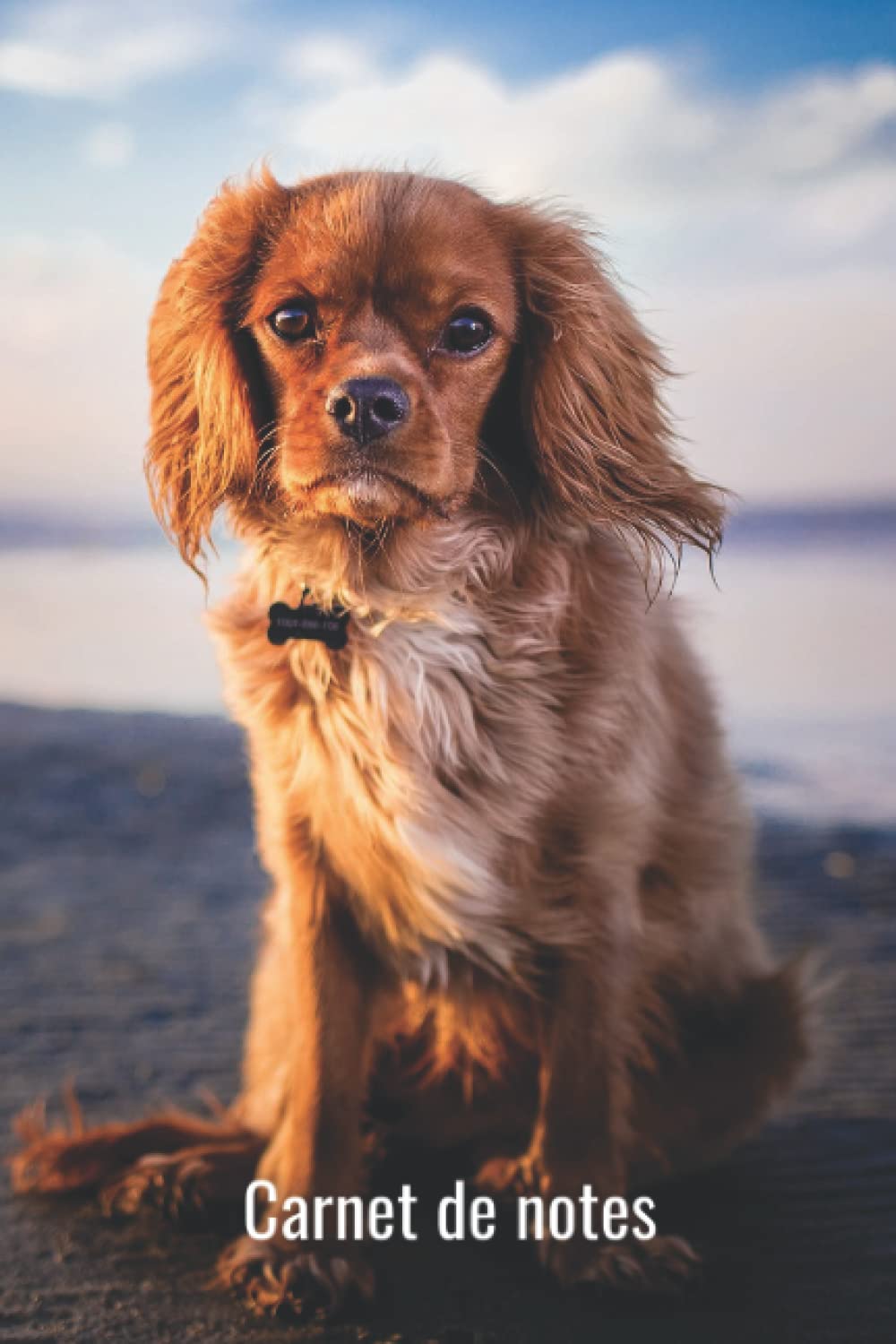 Carnet de notes: Chien - Pour les amoureux des chiens, des animaux et de la nature. Jolie Idée Cadeau. Cahier / Journal / Bloc-notes / Composition / Notebook - 100 pages lignées (French Edition) baixar livro de graça