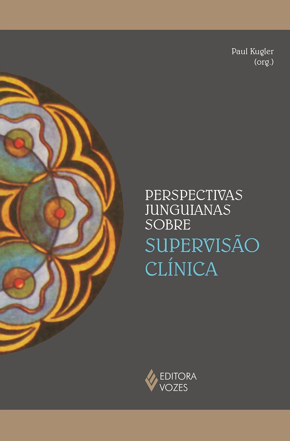 Perspectivas junguianas sobre supervisão clínica baixar o livro de graça