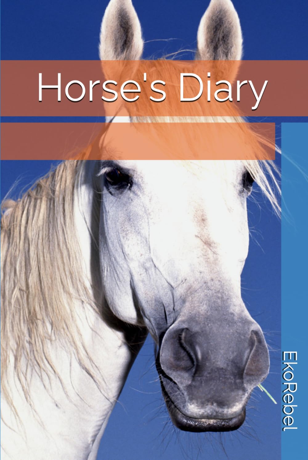 Horse's Diary: Pony baixar livro de graça