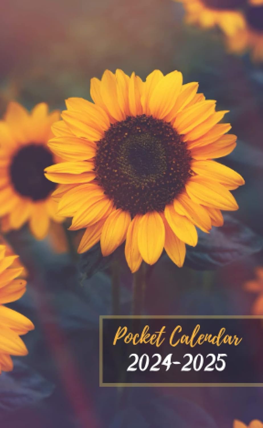 ler totalmente Pocket Planner 2024-2025: Small 2-Year Monthly Agenda for Purse - Sunflower Cover