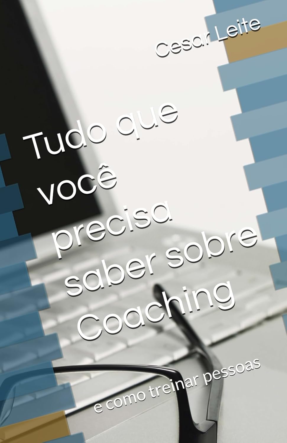 Tudo que você precisa saber sobre Coaching: e como treinar pessoas (Portuguese Edition) baixar o livro de graça
