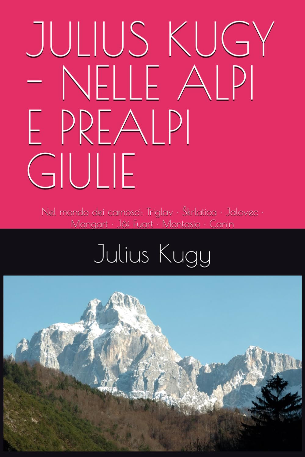JULIUS KUGY - NELLE ALPI E PREALPI GIULIE: Nel mondo dei camosci: Triglav · Škrlatica · Jalovec · Mangart · Jôf Fuart · Montasio · Canin (Italian Edition) baixar livro de graça