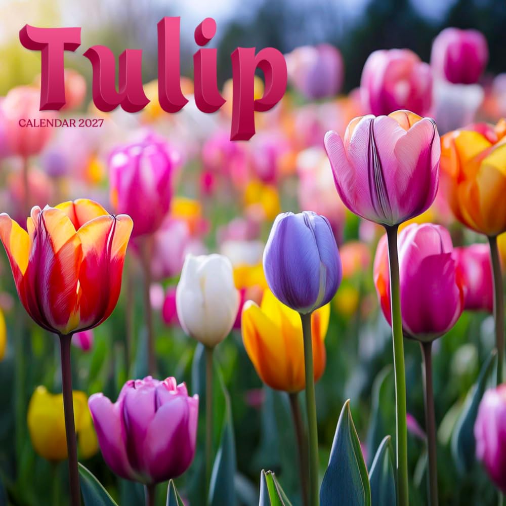 Tulip Calendar 2027: Garden Flowers and Floral Scenes