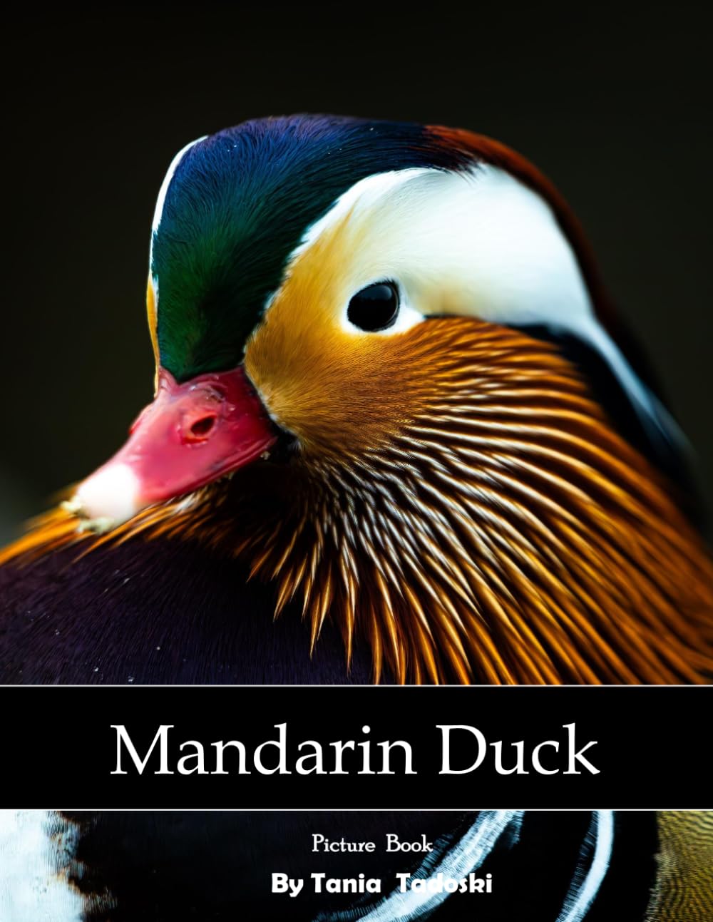 Mandarin Duck: Mandarin Duck: Colorful Plumage, Ponds, Courtship, Waterfowl, Asia and More baixar o livro de graça