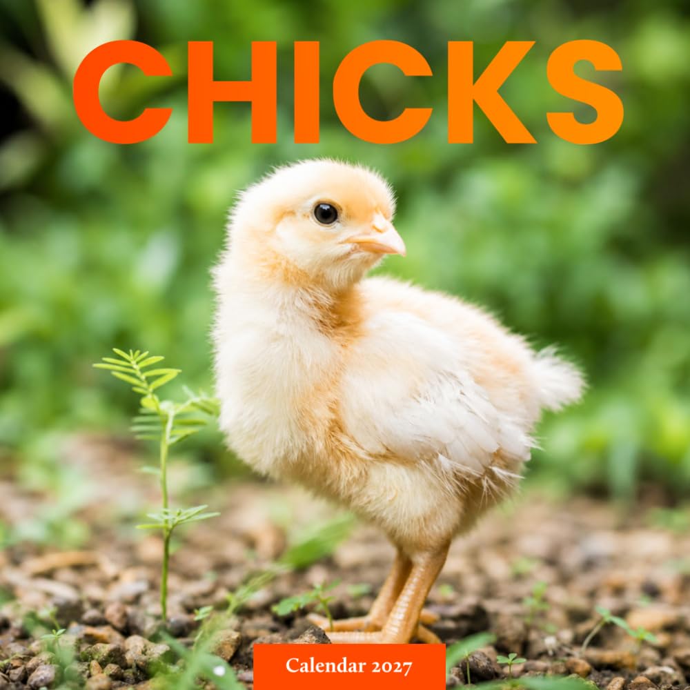 Chicks and Baby Chickens Calendar 2027: Young Farm Bird Photography