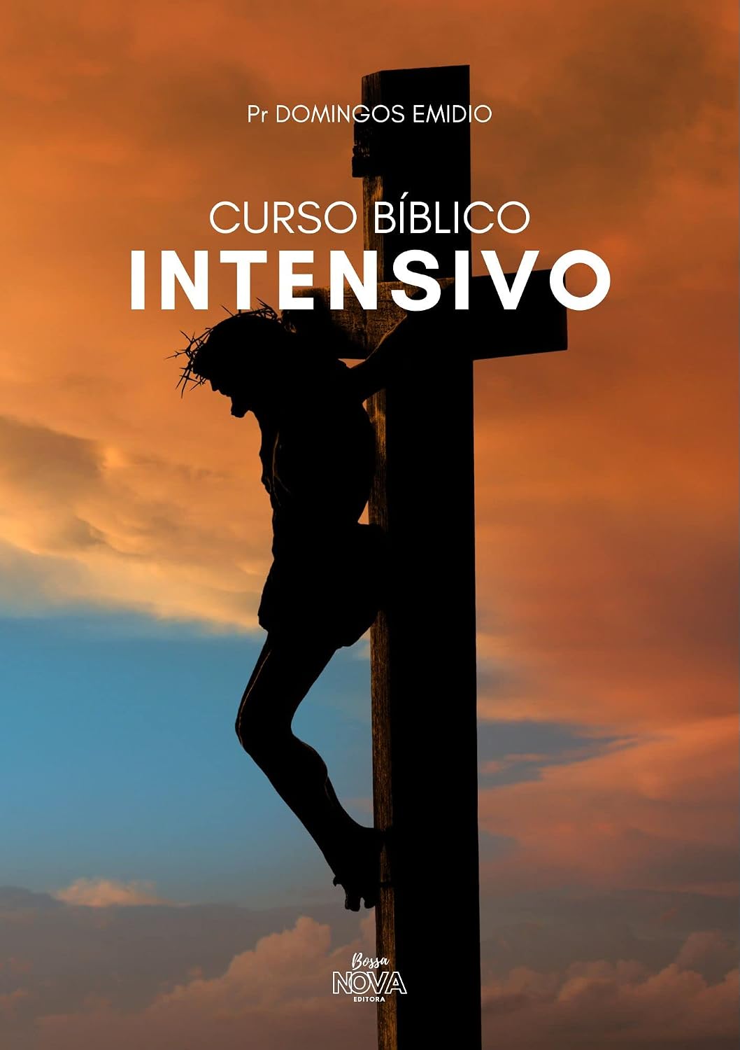 ler totalmente Curso bíblico intensivo