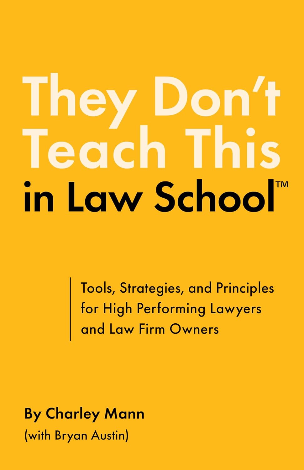 They Don’t Teach This in Law School: Tools, Strategies, and Principles for High Performing Lawyers and Law Firm Owners (English Edition) baixar livro de graça