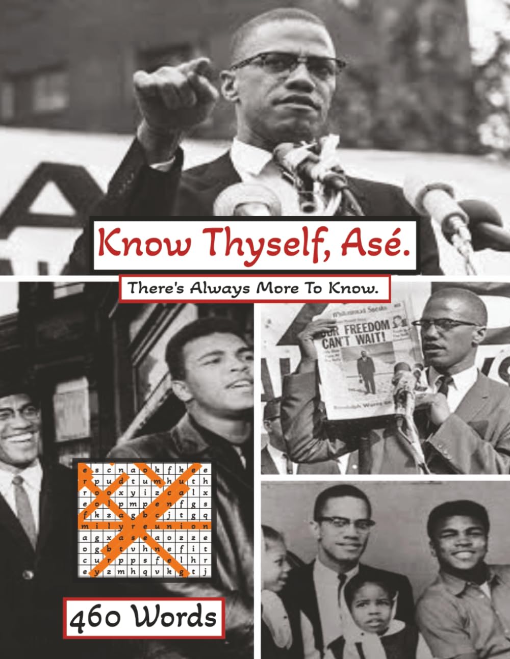 Know Thyself, Asé.: There's Always More To Know. baixar o livro de graça