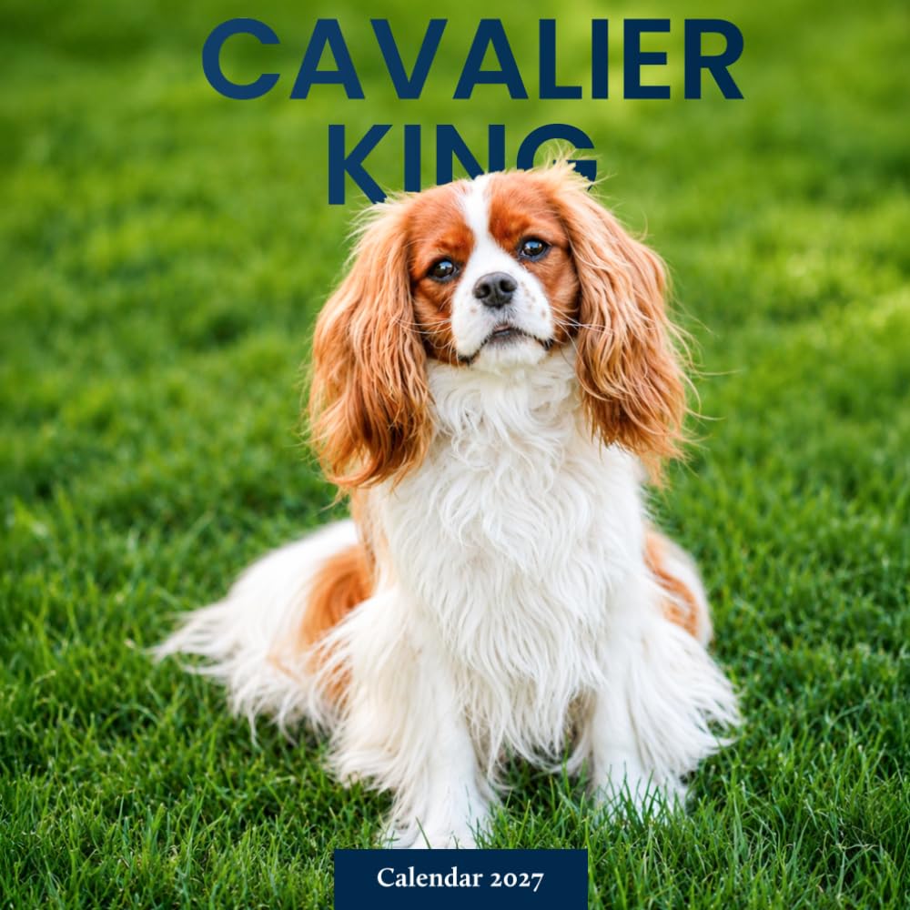 ler totalmente Cavalier King Charles Spaniel Dogs Calendar 2027: Spaniel Dog Photography