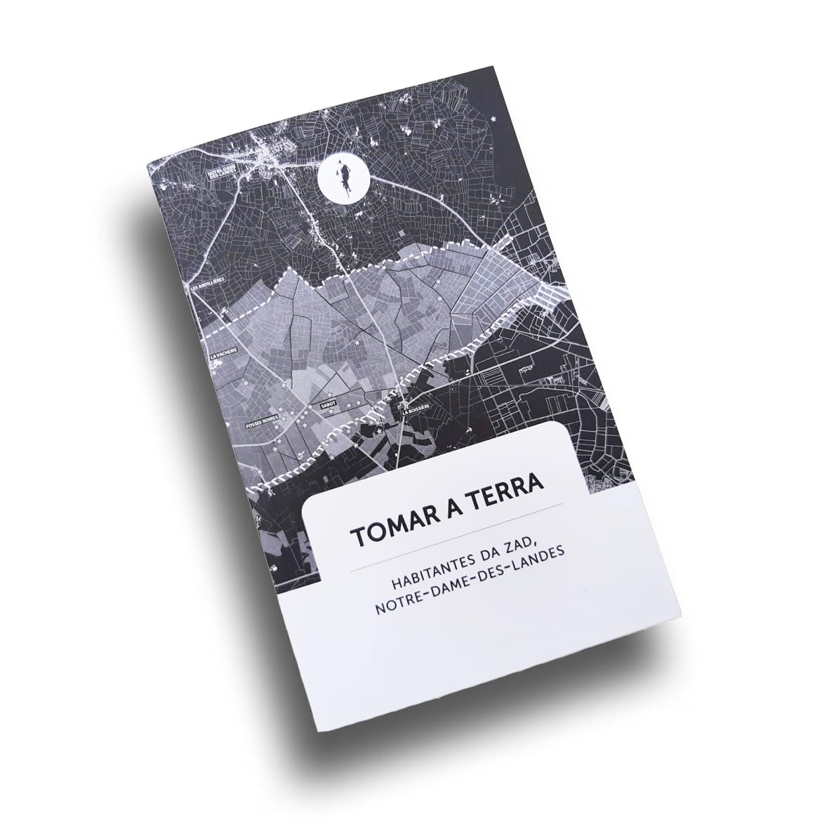 Tomar a terra: 2 baixar livro de graça