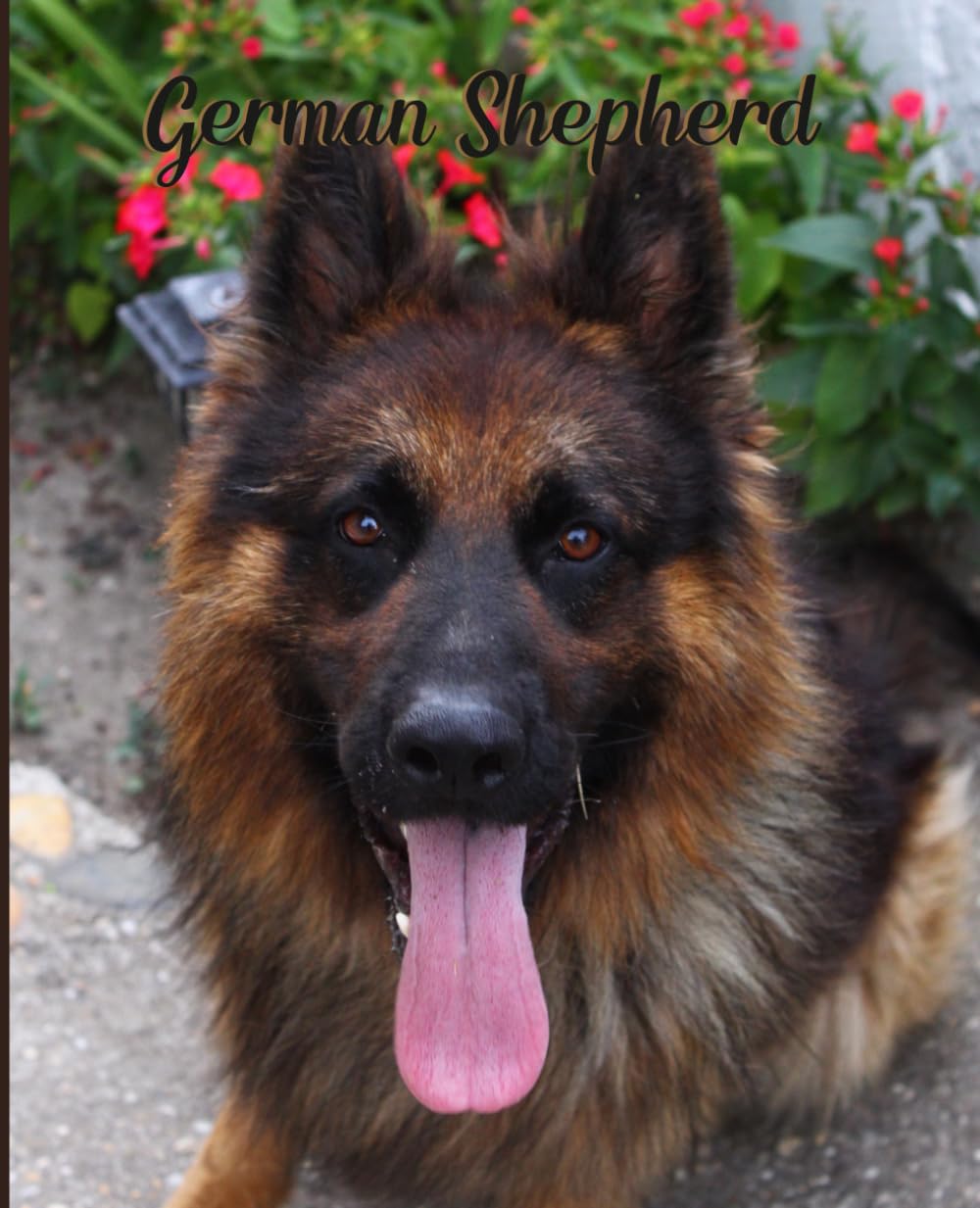 ler totalmente K9 German Shepherd Service dog theme Notepad
