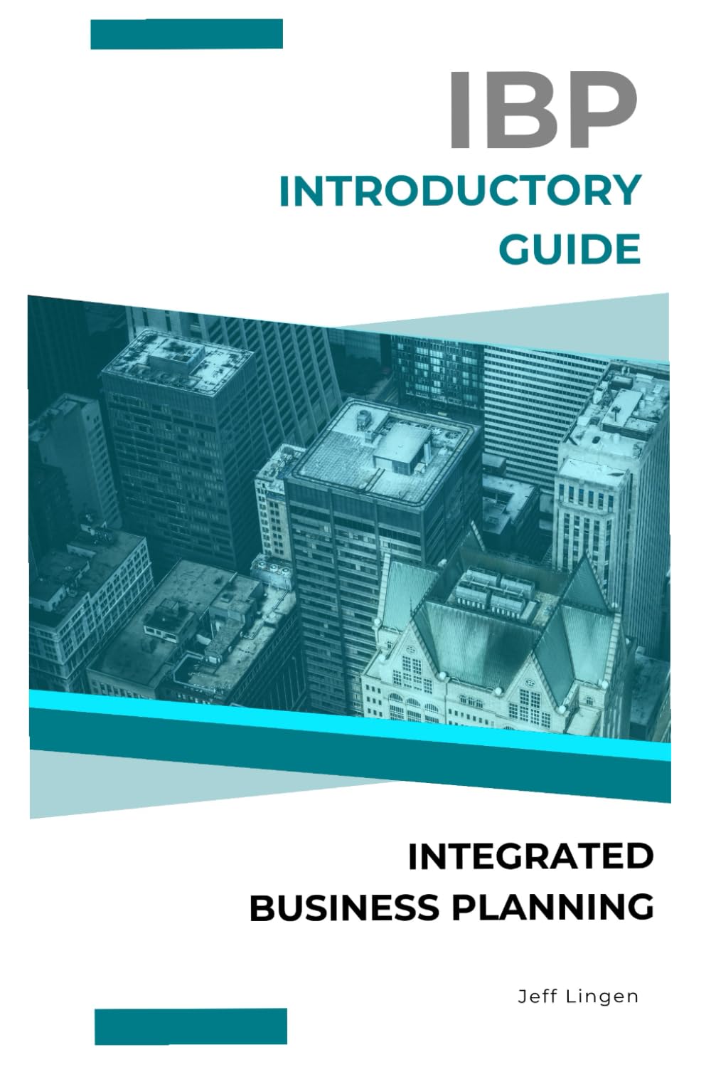 IBP Introductory Guide - Integrated Business Planning: IBP - Integrated Business Planning baixar o livro de graça