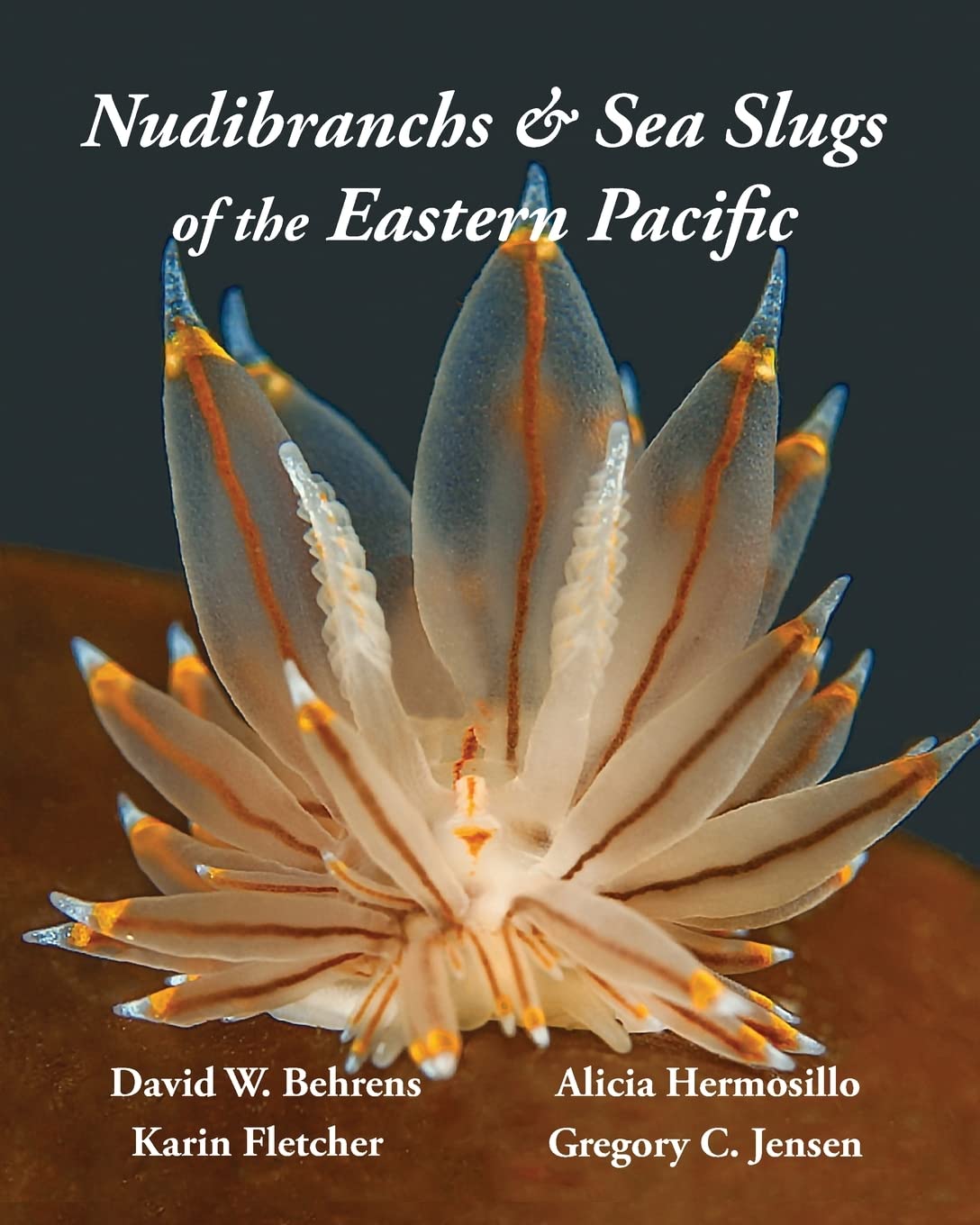 Nudibranchs & Sea Slugs of the Eastern Pacific baixar o livro de graça