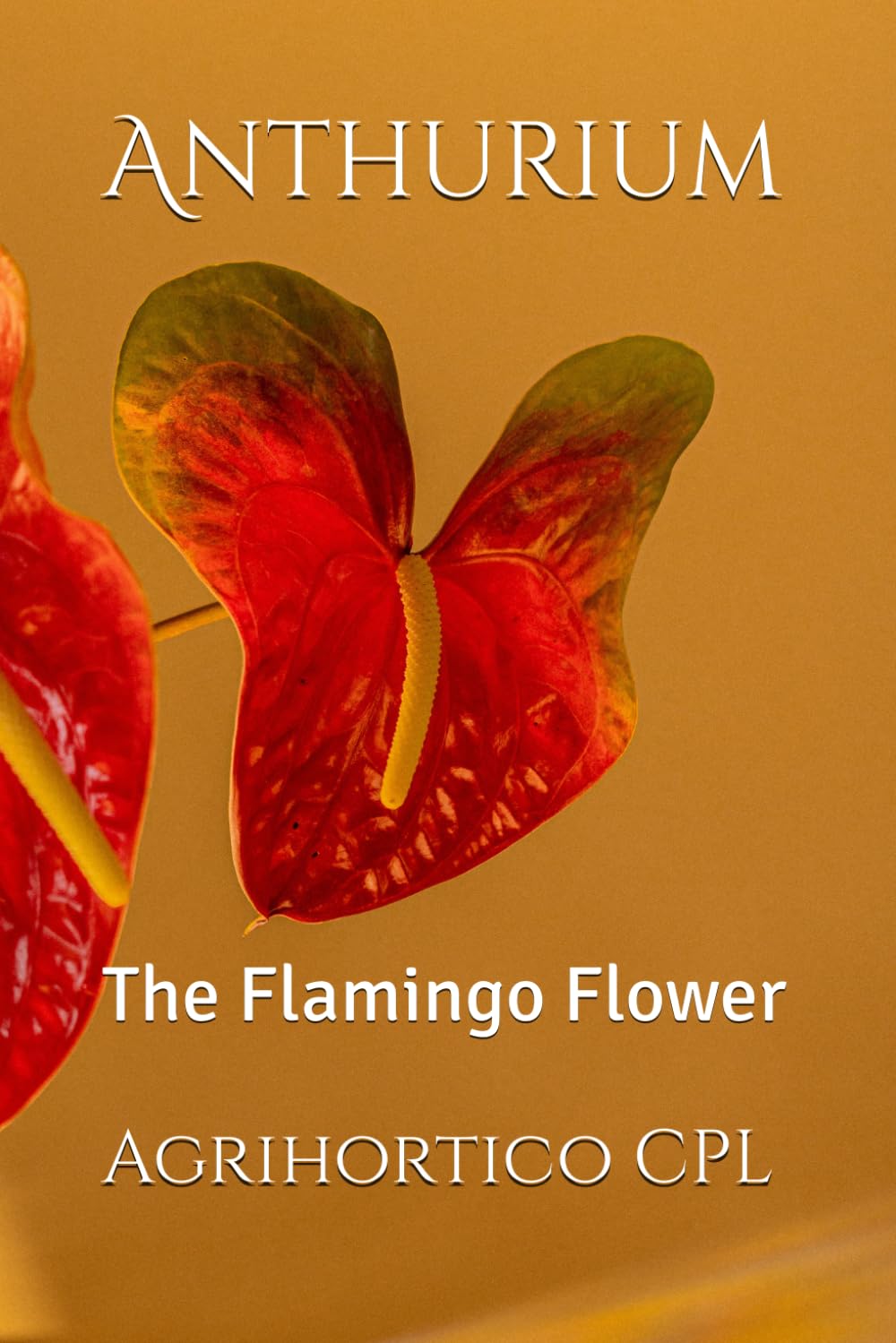 capítulo por capítulo baixar Anthurium: The Flamingo Flower