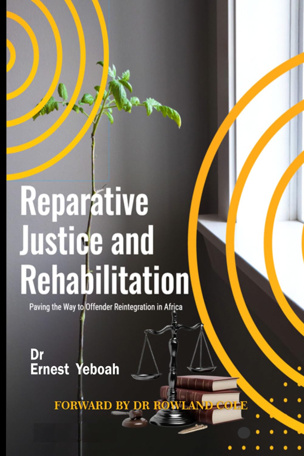 Reparative Justice and Rehabilitation: Paving the Way to Offender Reintegration in África baixar livro de graça
