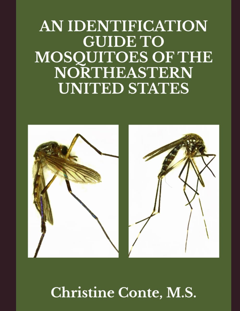capítulo por capítulo baixar An Identification Guide to Mosquitoes of the Northeastern United States
