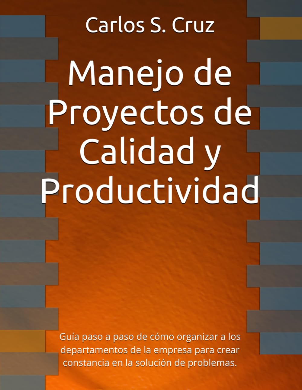Manejo de Proyectos de Calidad y Productividad: Guía paso a paso de cómo organizar a los departamentos de la empresa para crear constancia en la solución de problemas.: 1 baixar o livro de graça