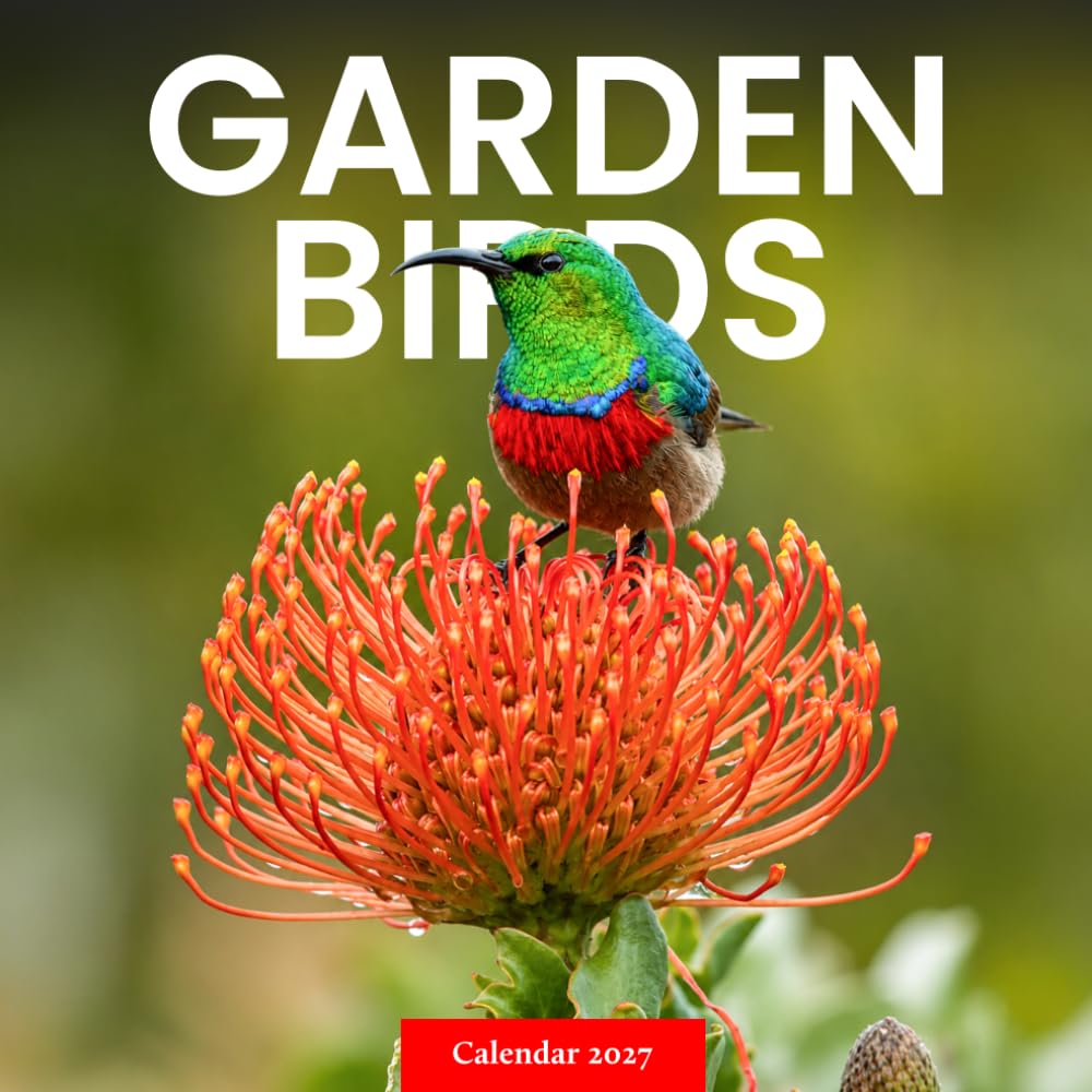capítulo por capítulo baixar Garden Birds Calendar 2027: Backyard Bird Photography