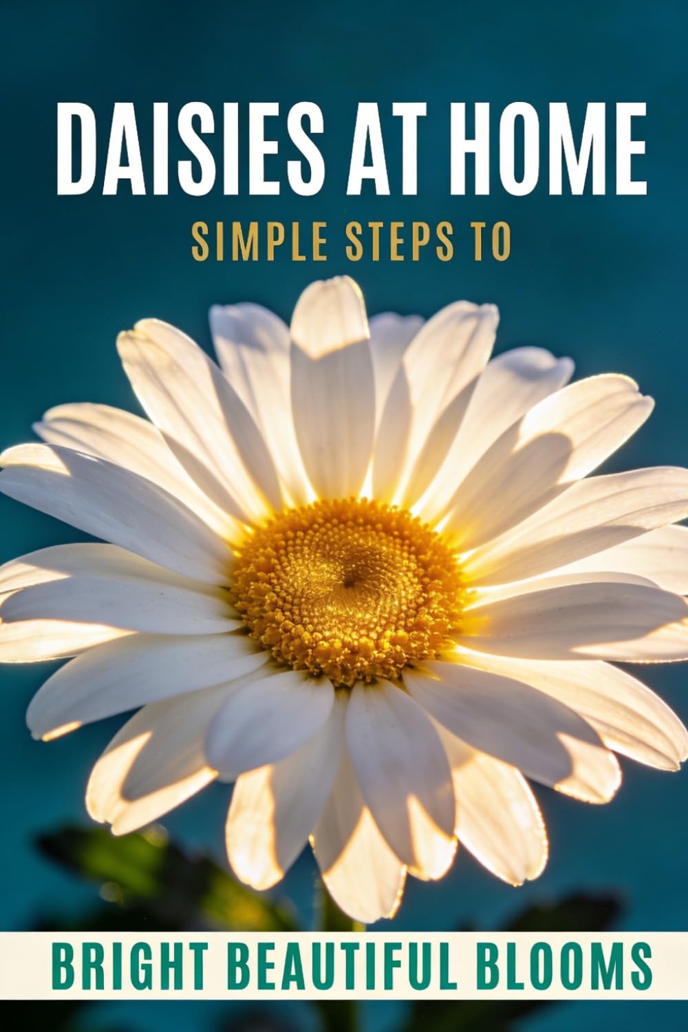 capítulo por capítulo baixar Daisies at Home: Simple Steps to Bright, Beautiful Blooms