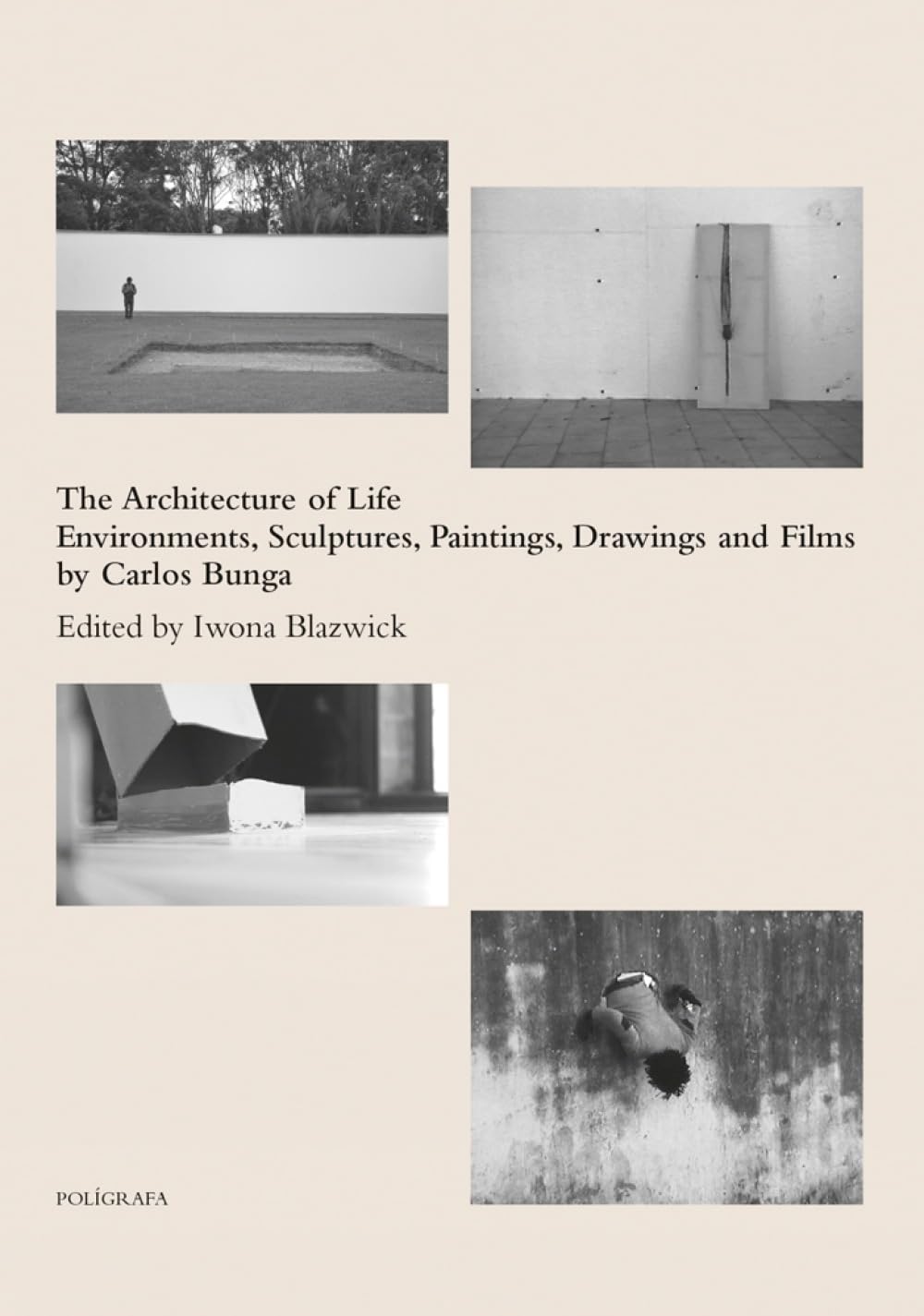 Carlos Bunga: The Architecture of Life: Environments, Sculptures, Paintings, Drawings and Films baixar o livro de graça