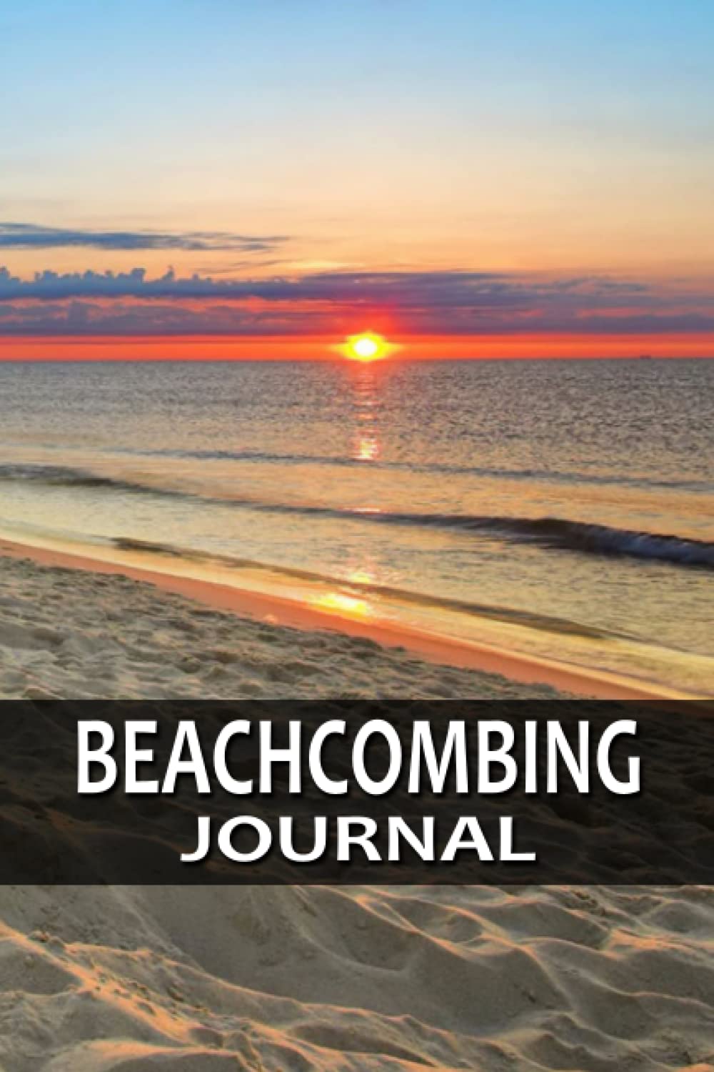 ler totalmente Beachcombing Journal: Track and Record Relic Hunting, Buried Treasure, and Cache Hunting in Metal Detecting Logbook