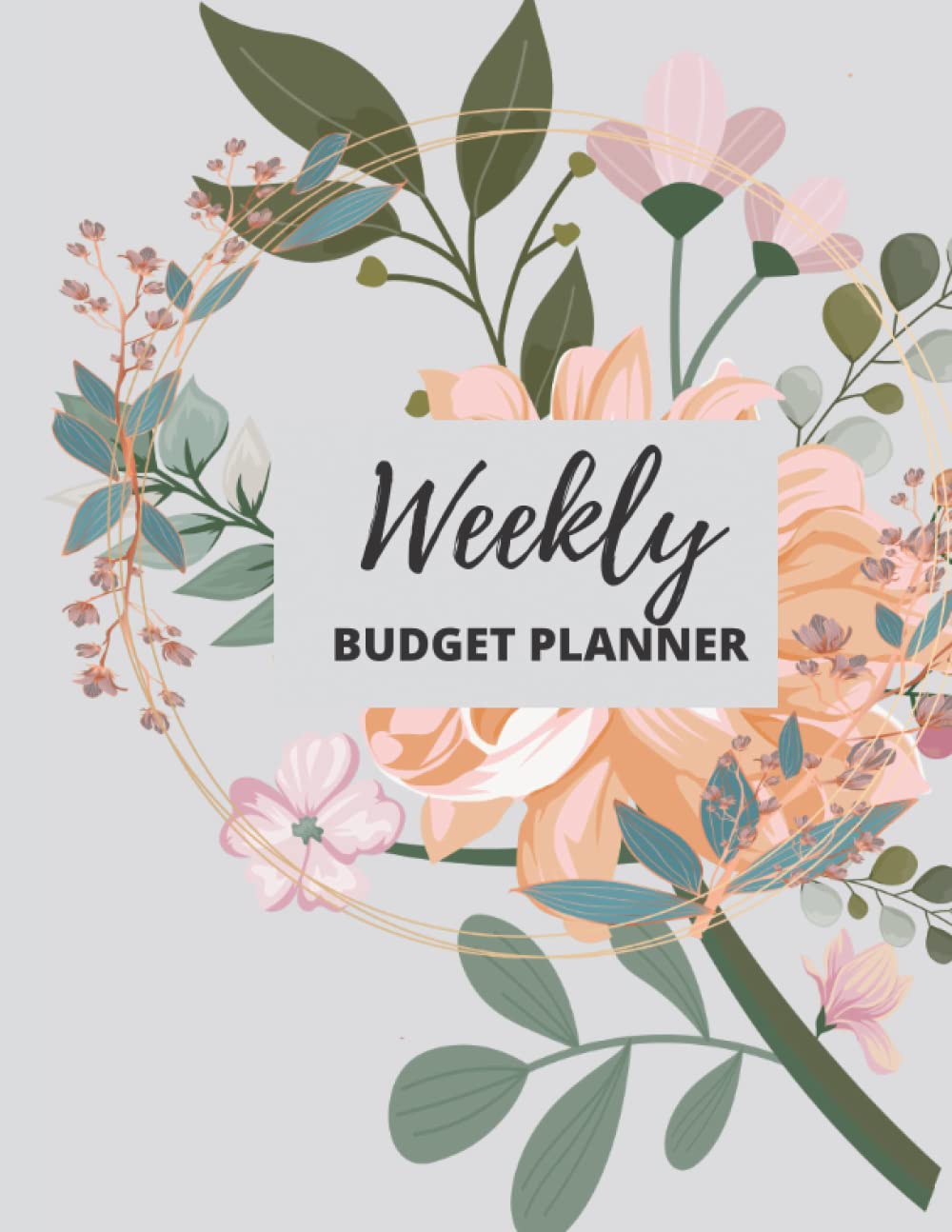 Weekly Budget Planner: Daily and Monthly Bill Planner and Organizer to Plan and Track your Expenses baixar livro de graça