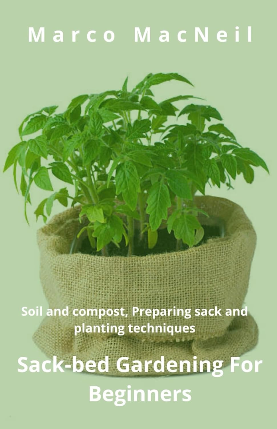 Sack-bed Gardening For Beginners: Soil and compost, Preparing sack and planting techniques baixar livro de graça