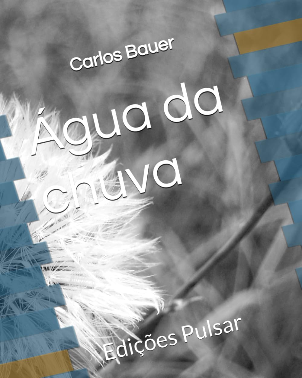 ler totalmente Água da chuva (Portuguese Edition)