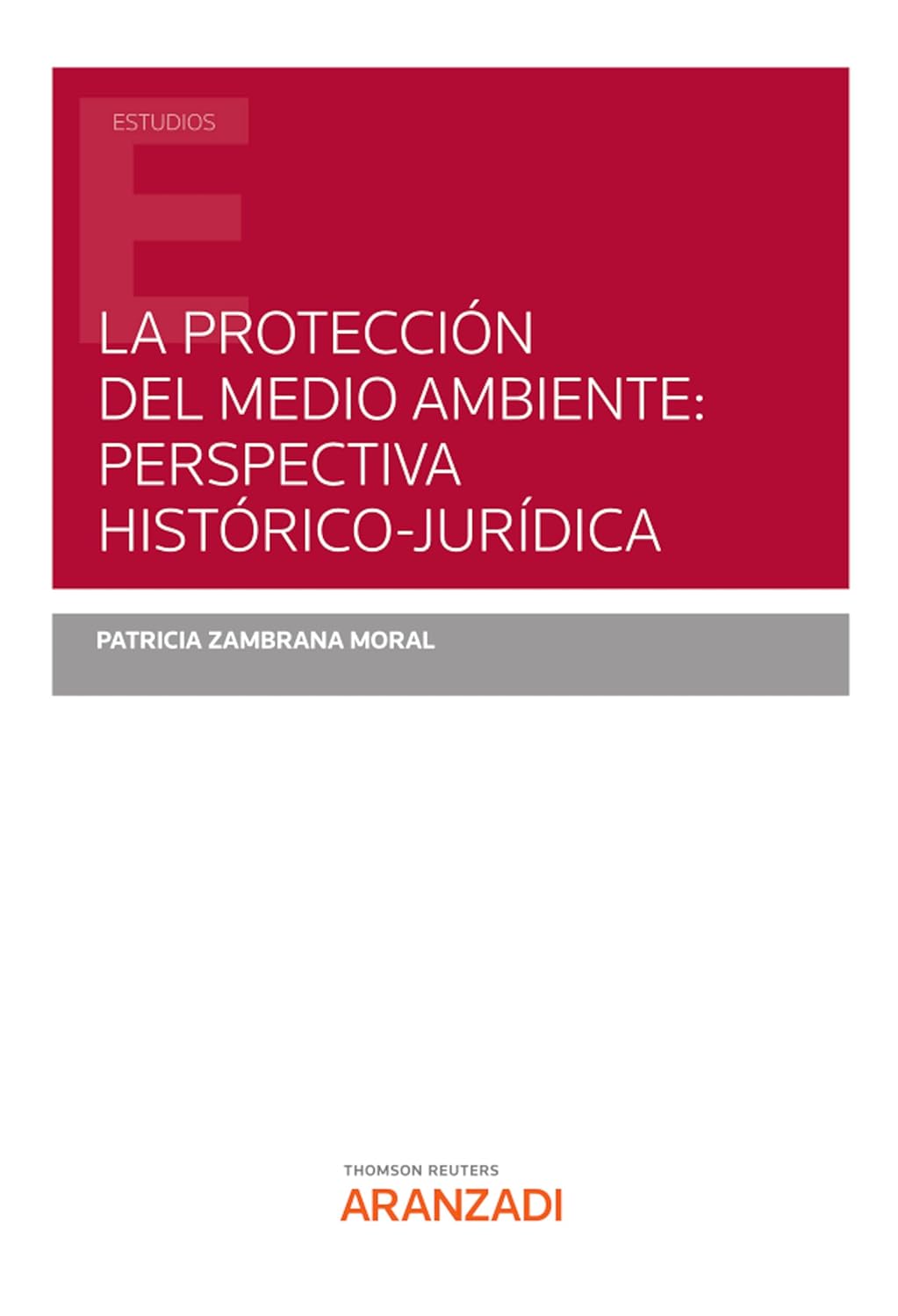 La protección del medio ambiente: perspectiva histórico-jurídica (Estudios) (Spanish Edition) baixar livro de graça