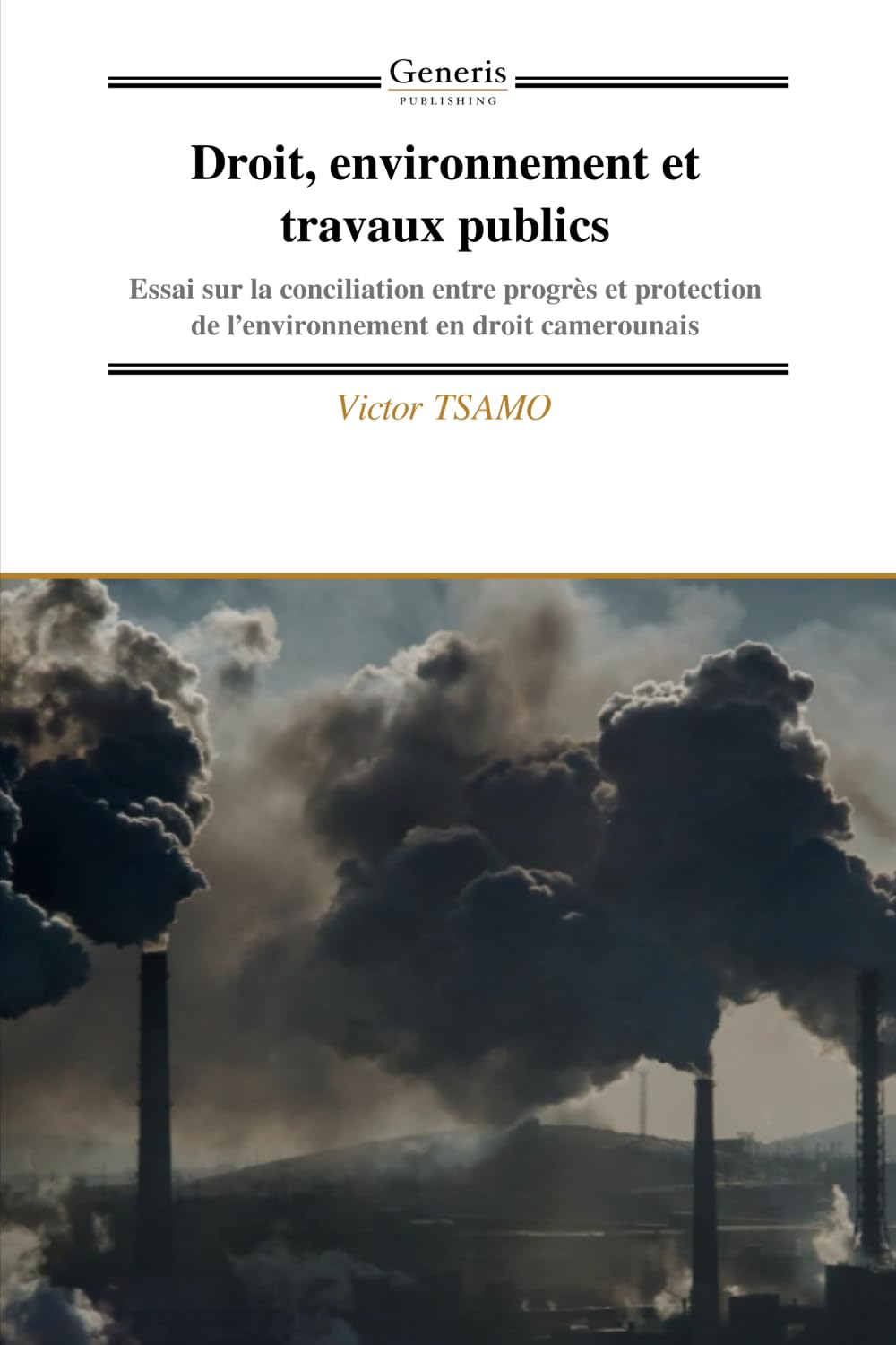 Droit, environnement et travaux publics: Essai sur la conciliation entre progrès et protection de l'environnement en droit camerounais baixar livro de graça