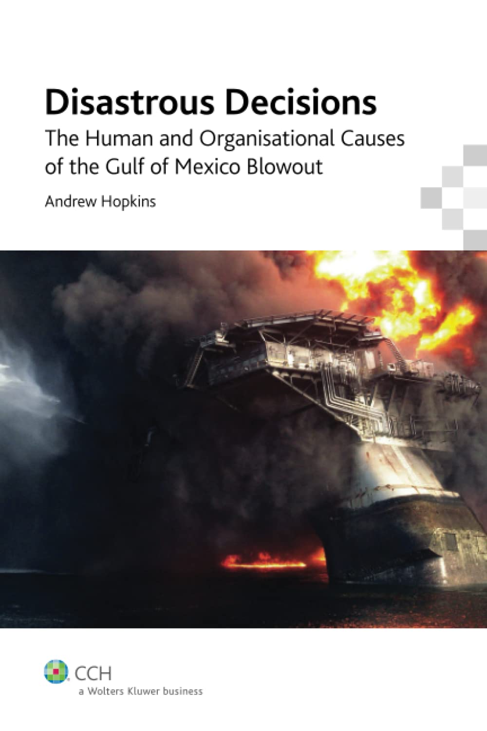 capítulo por capítulo baixar Disastrous Decisions: The Human and Organisational Causes of the Gulf of Mexico Blowout