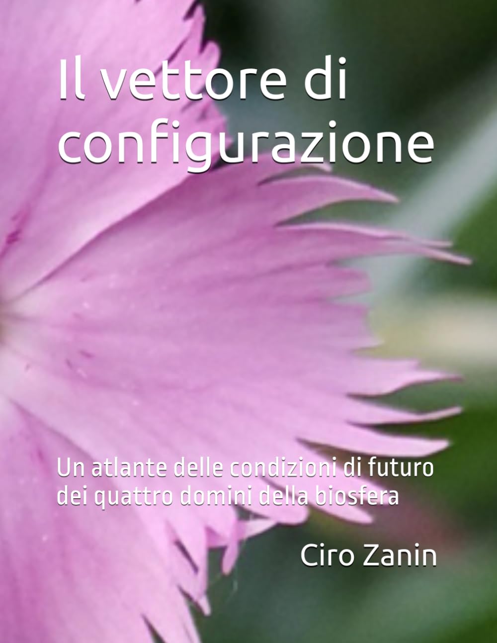 capítulo por capítulo baixar Il vettore di configurazione: Un atlante delle condizioni di futuro dei quattro domini della biosfera (Il Capitale Vivente) (Italian Edition)