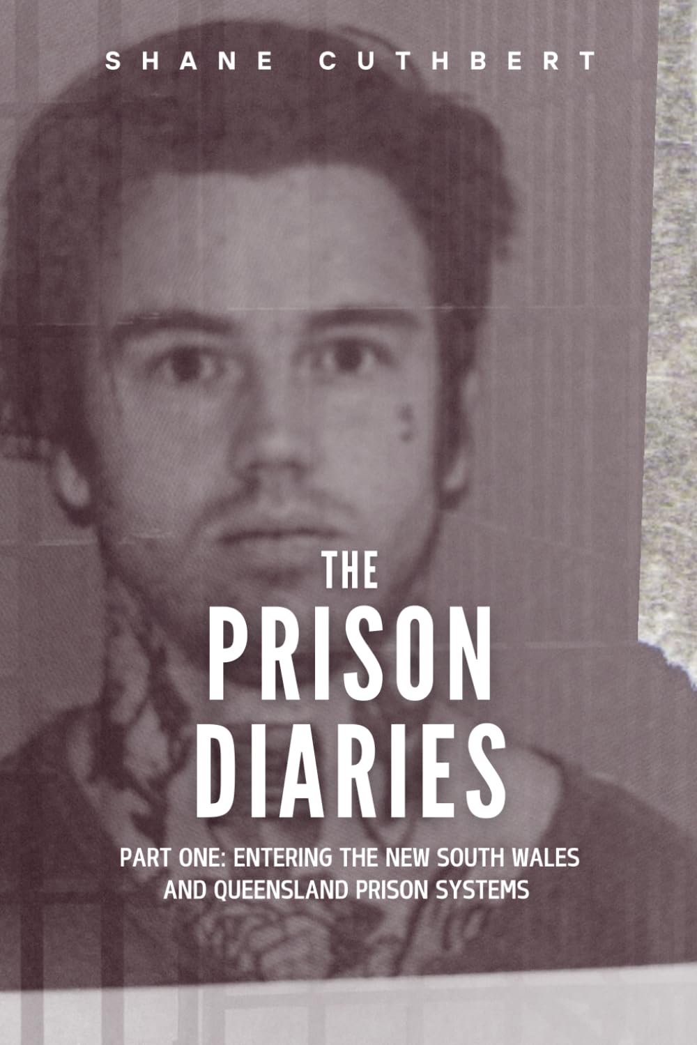 ler totalmente The Prison Diaries Part 1: Entering the New South Wales and Queensland Prison Systems 2015-2016 (Shane Cuthbert - The Prison Diaries)