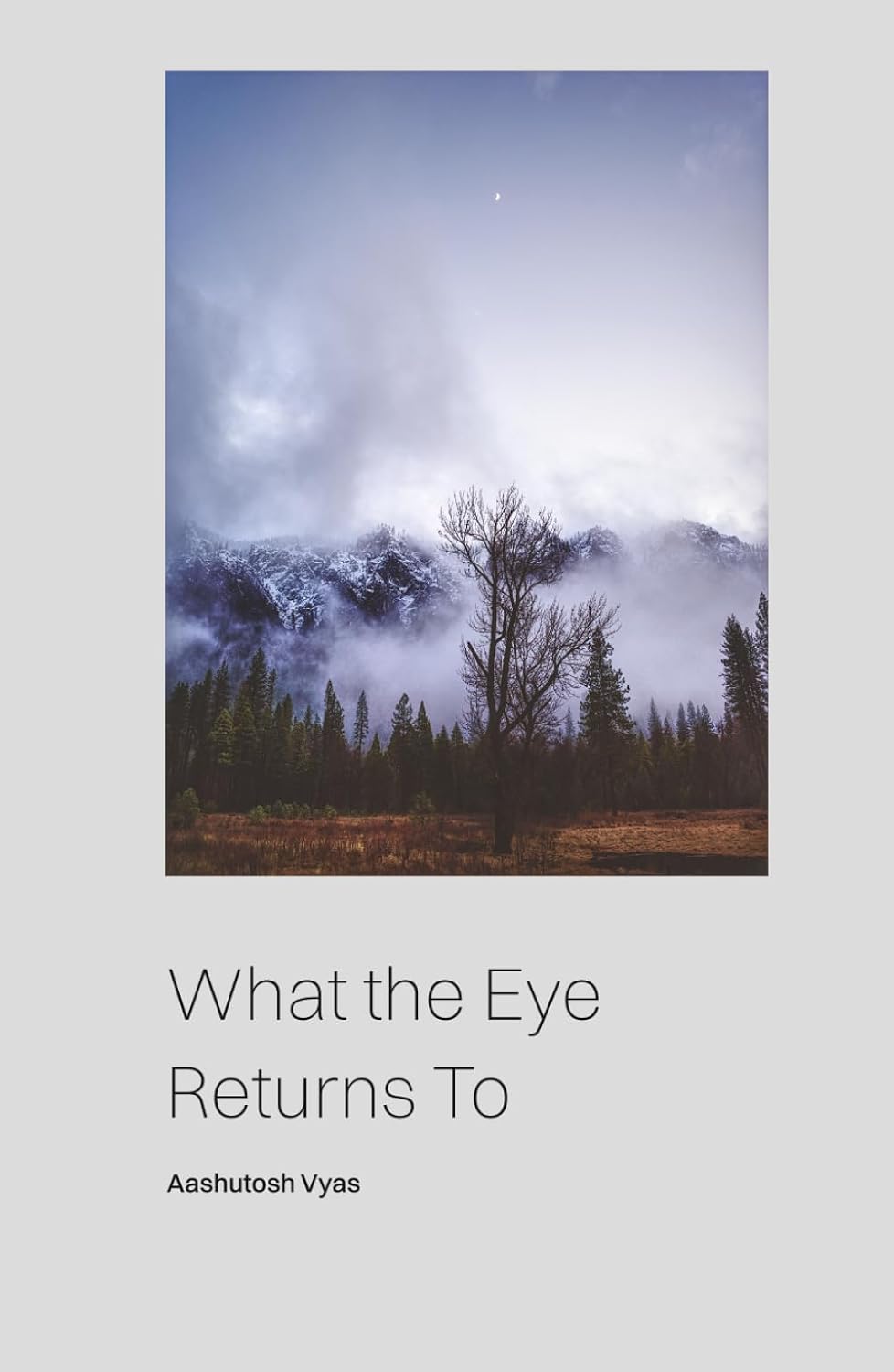 ler totalmente What the Eye Returns To