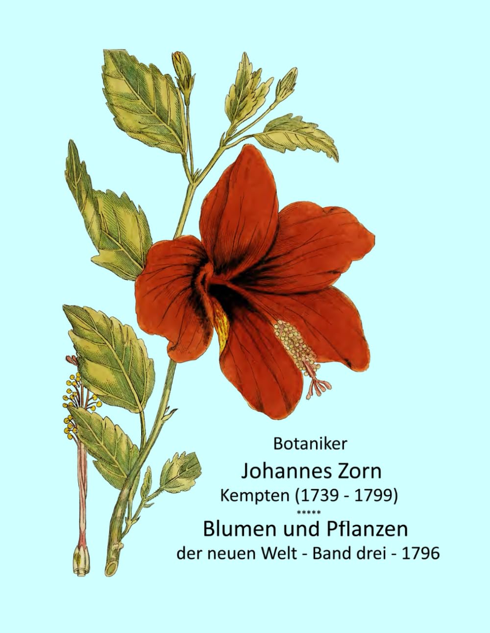 Blumen und Pflanzen der neuen Welt 1796 (German Edition) baixar livro de graça