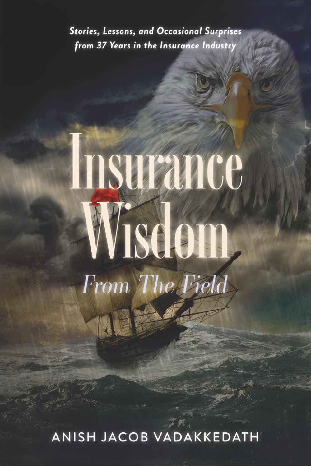capítulo por capítulo baixar Insurance Wisdom From The Field: Stories, Lessons, and Occasional Surprises from 37 Years in the Insurance Industry