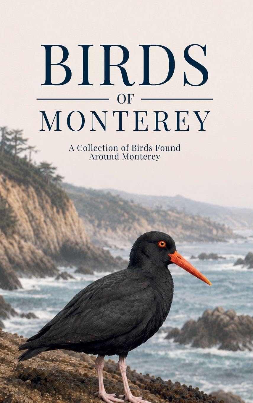 capítulo por capítulo baixar Birds of Monterey: A Collection of Birds Found Around Monterey