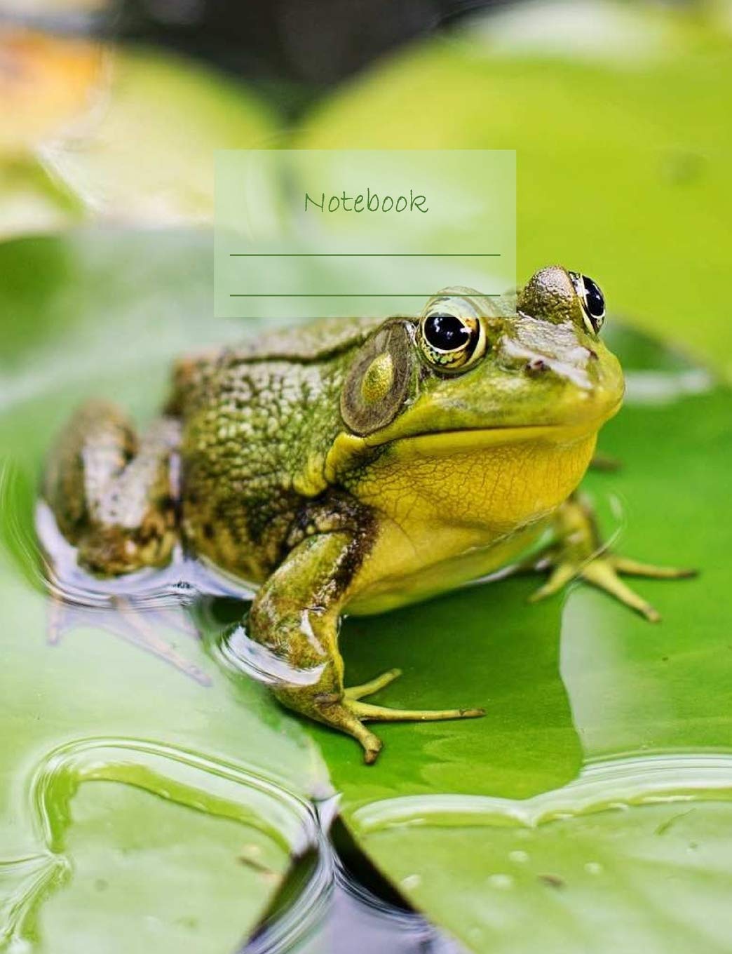 Notebook: Composition Notebook. College Ruled with Soft Matte Cover. 120 Pages. Perfect for School Notes, Ideal as a Journal or a Diary. 9.69 X 7.44. Great Gift Idea. (Green Frog Cover). baixar o livro de graça
