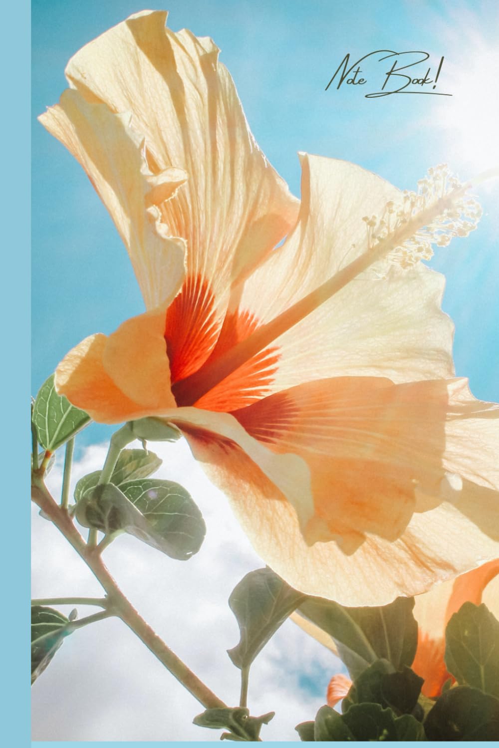ler totalmente Summer Spring Blue Sky & Orange Flower Notebook.Pretty & Feminine Journal/Diary for Women/Her.(Sister/Friend/Mother/Interior... Use.Travel Diary.Stationary