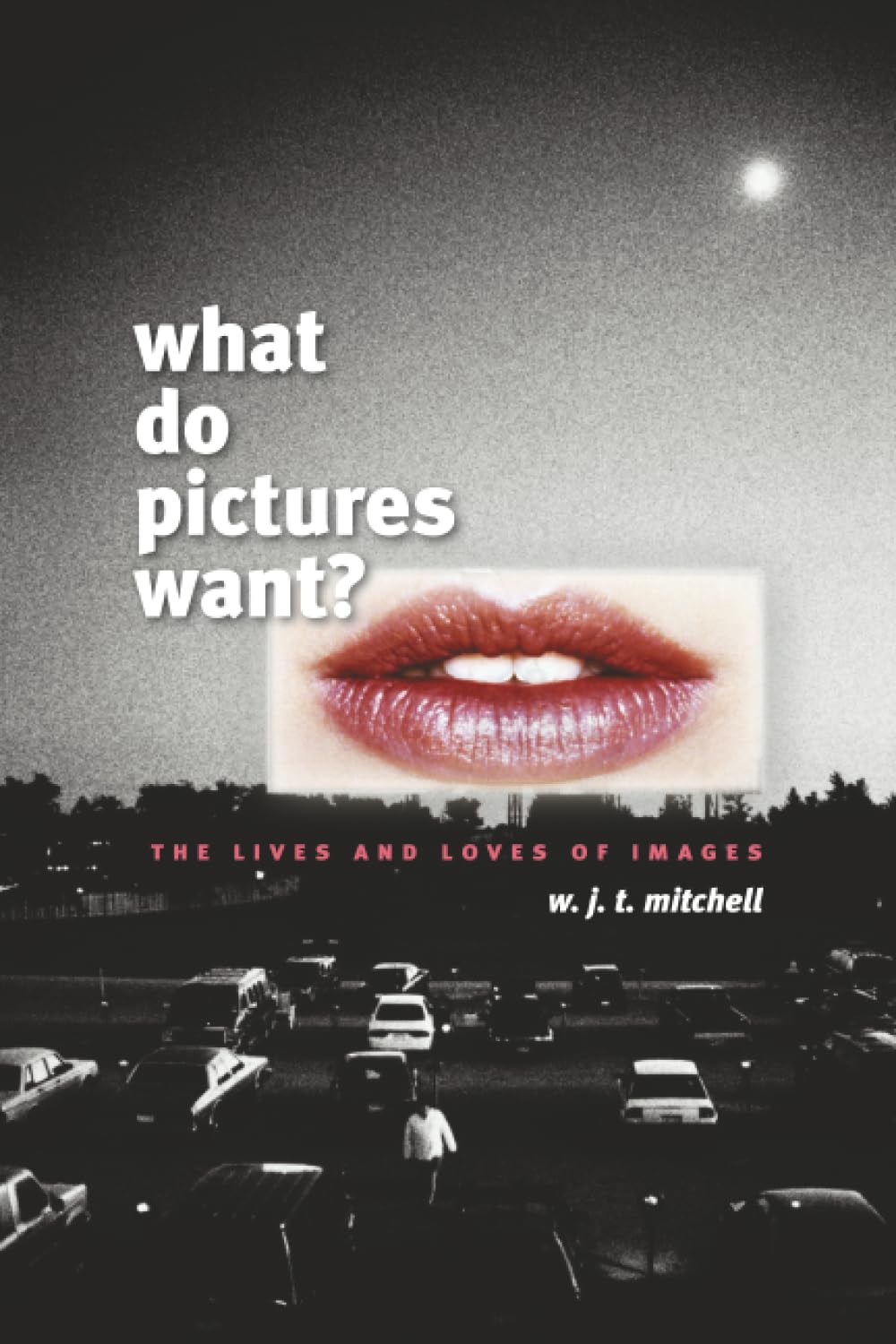 What Do Pictures Want?: The Lives and Loves of Images baixar livro de graça