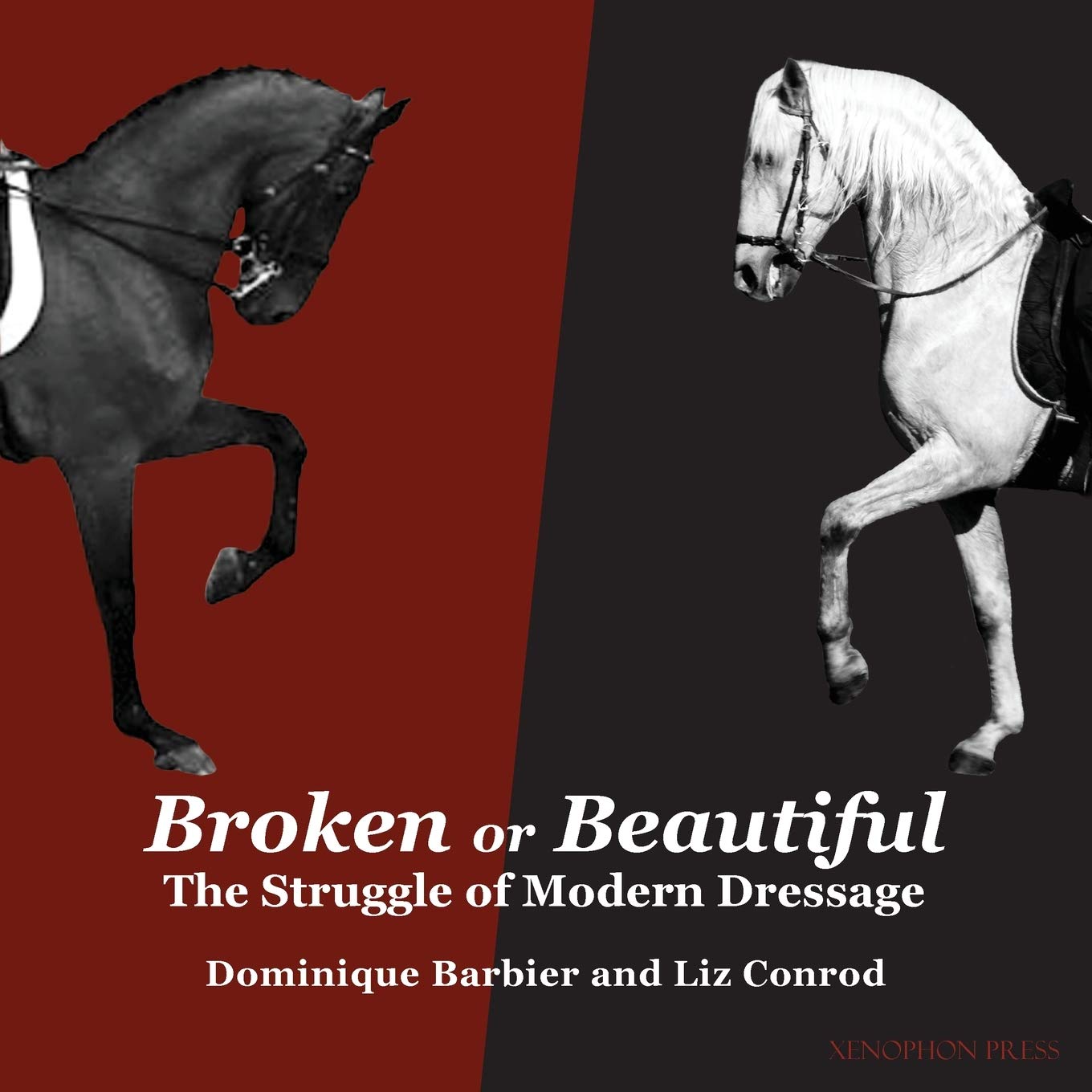 capítulo por capítulo baixar Broken or Beautiful: The Struggle of Modern Dressage: The Struggle of Modern Dressage