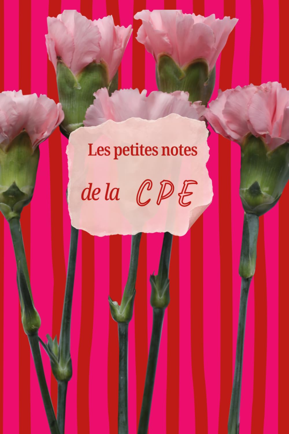 ler totalmente Petites notes CPE (French Edition)